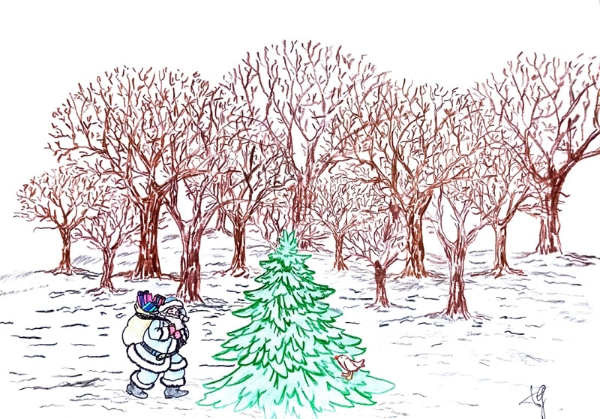 Com'è nato l'albero di Natale. Storia del Piccolo abete